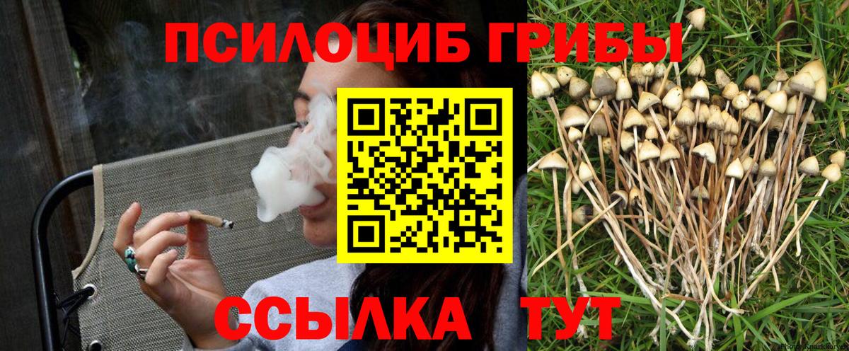 Псилоцибиновые грибы ЛСД Красноярск