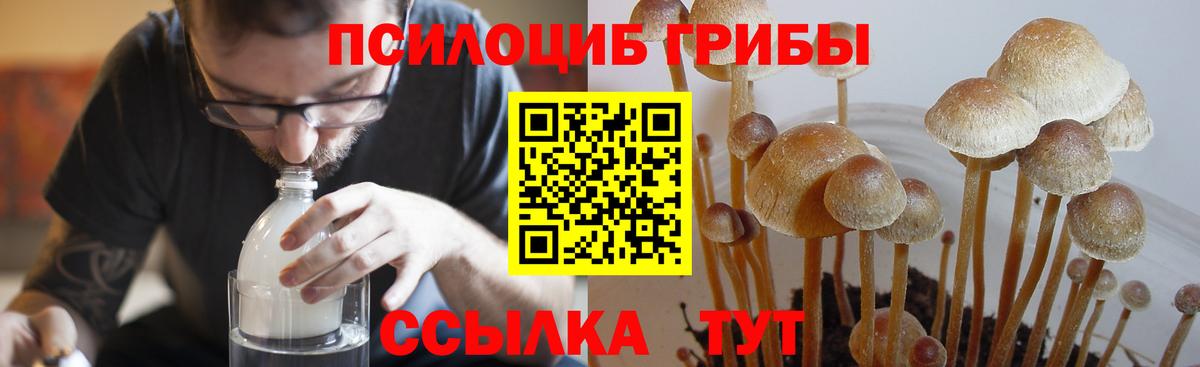 Галлюциногенные грибы мицелий  Вход с VPN  Псилоцибиновые грибы Magic Shrooms  Красноярск 